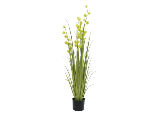 Allium Grass, artificial, 122cm