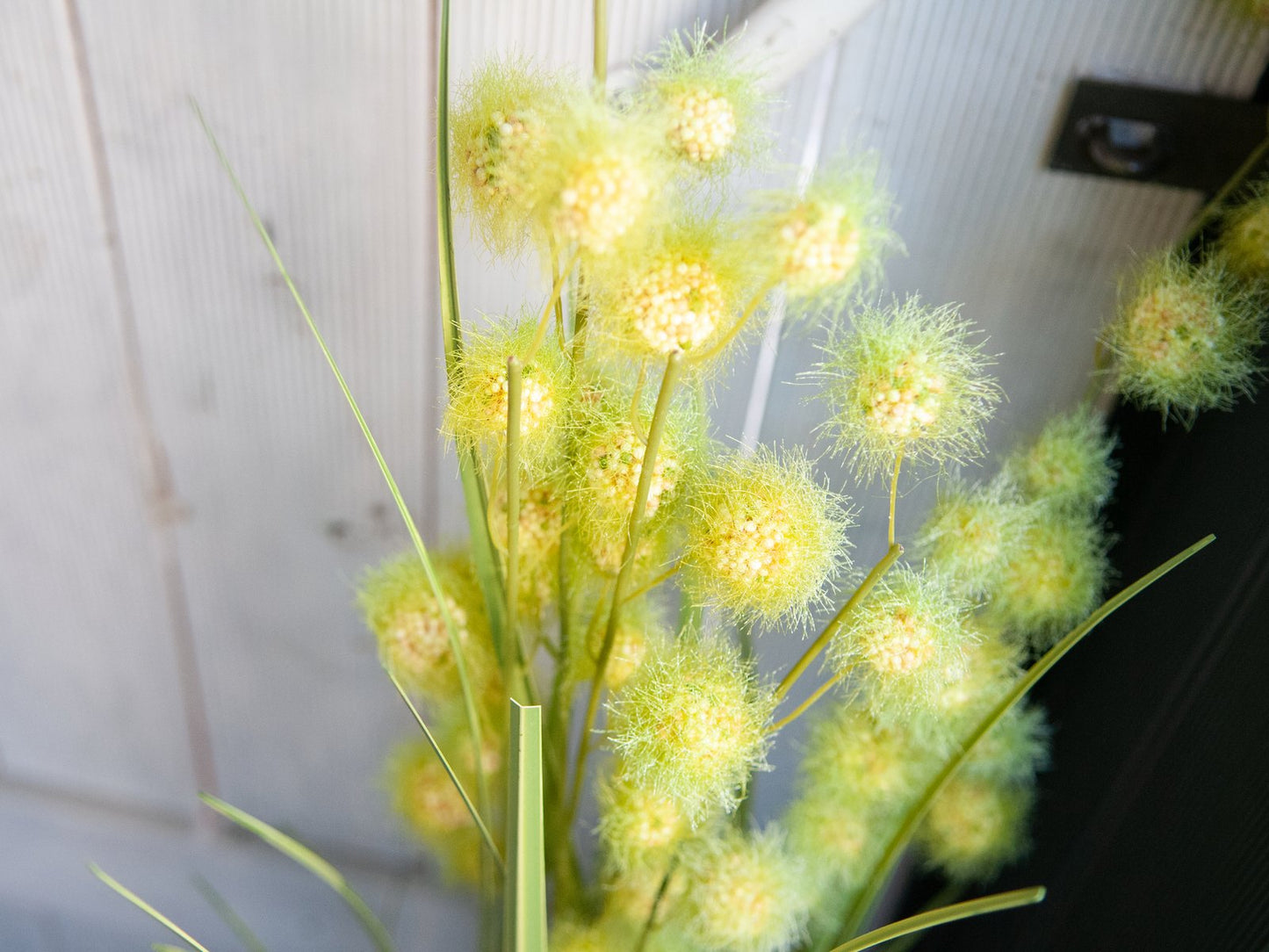 Allium Grass, artificial, 122cm