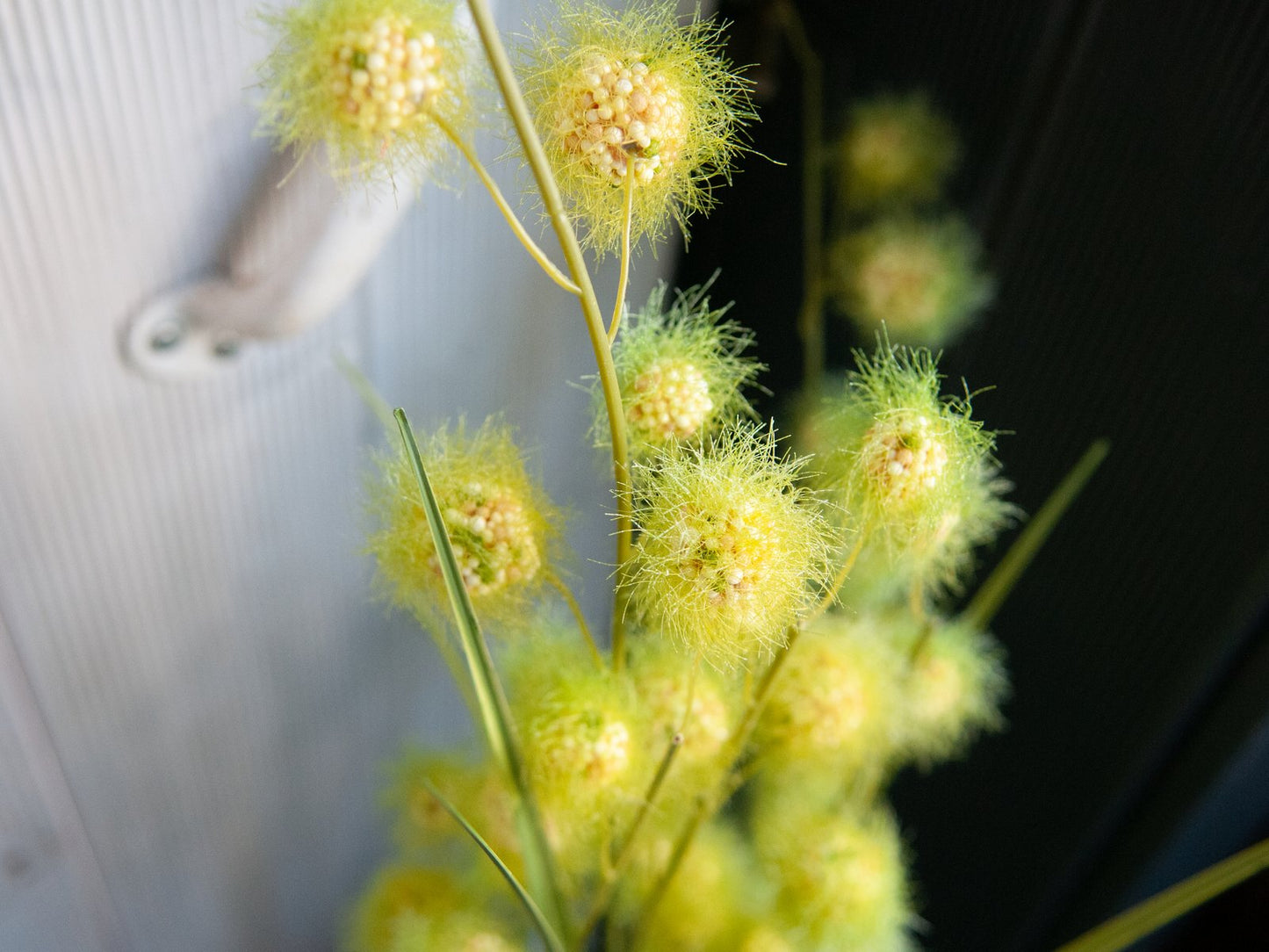 Allium Grass, artificial, 122cm