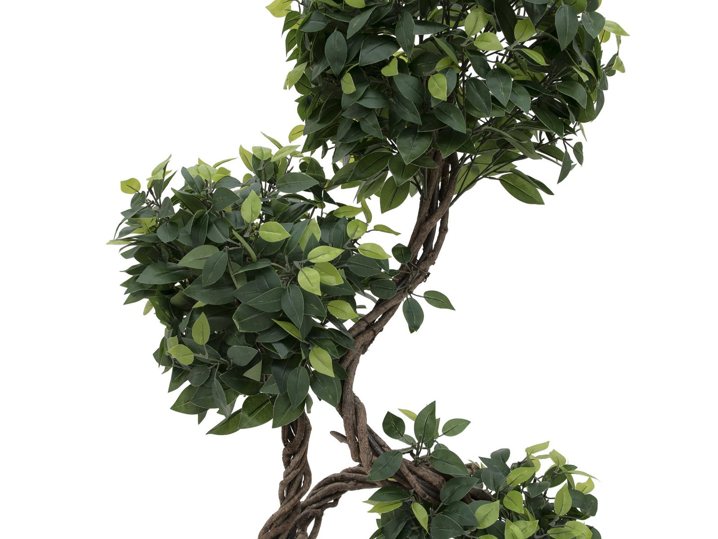 Ficus spiral trunk, artificial plant, 160cm