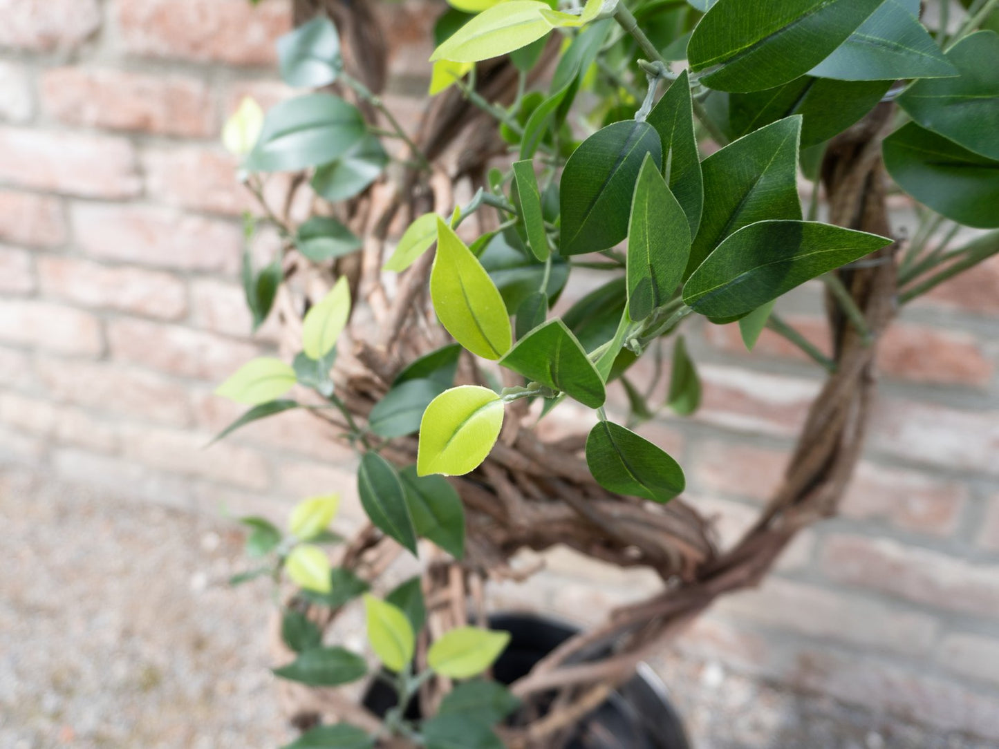 Ficus spiral trunk, artificial plant, 160cm