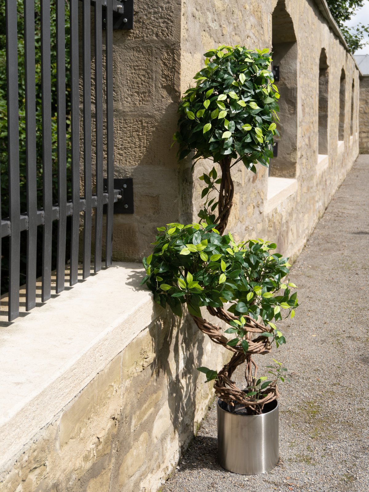 Ficus spiral trunk, artificial plant, 160cm