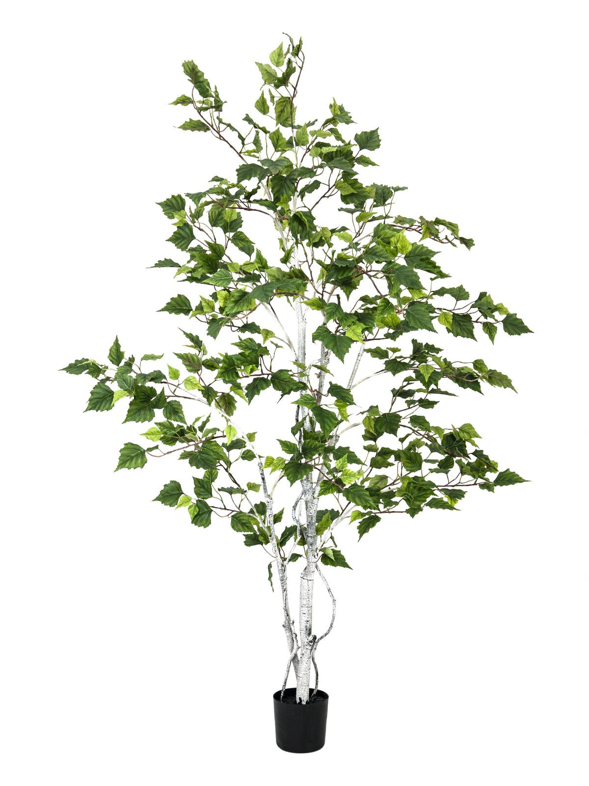 Birch Tree, artificial plant, 150cm