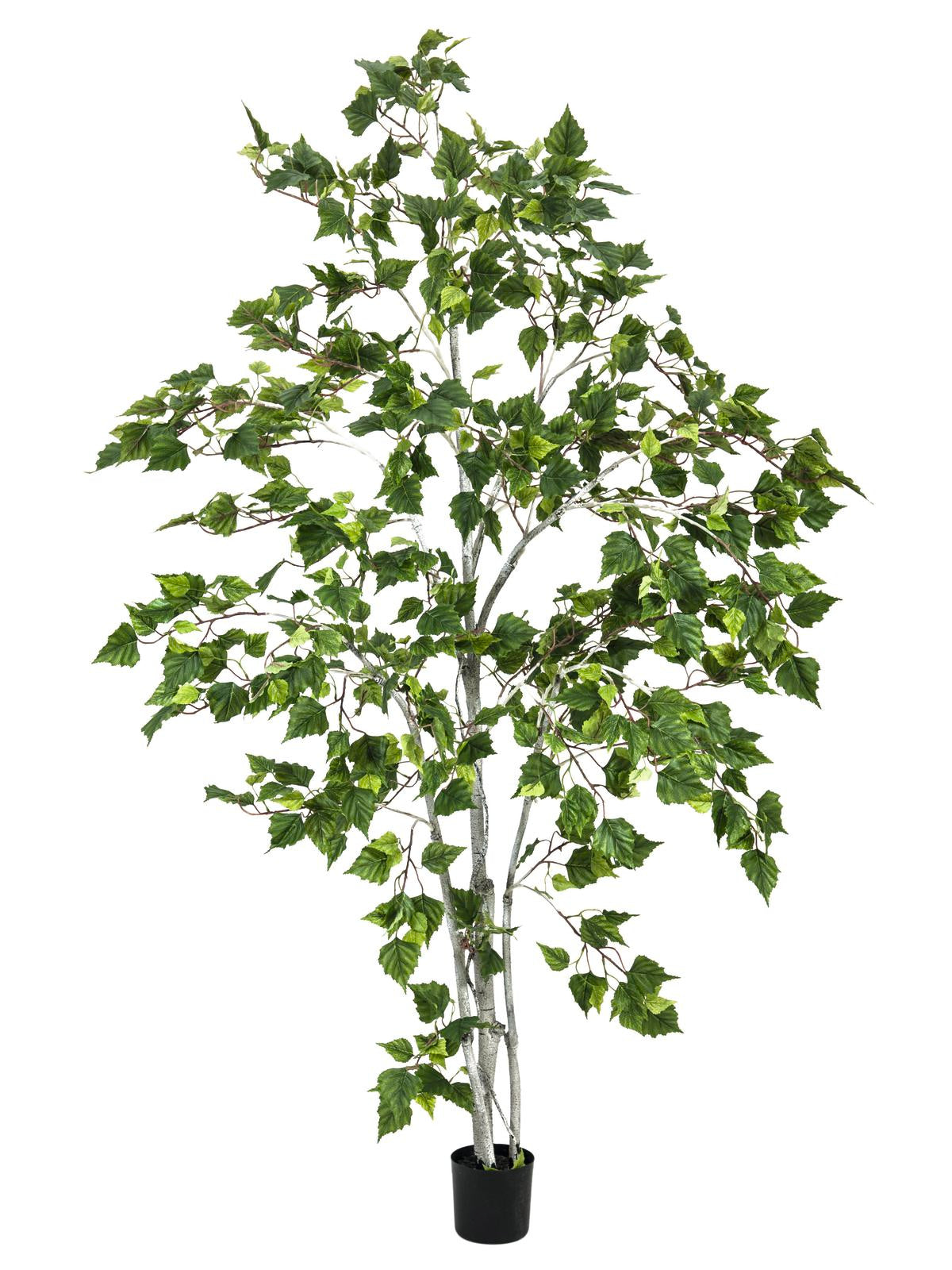 Birch Tree, artificial plant, 180cm