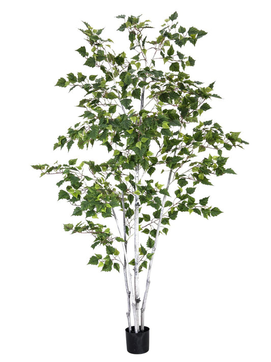 Birch Tree, artificial plant, 210cm