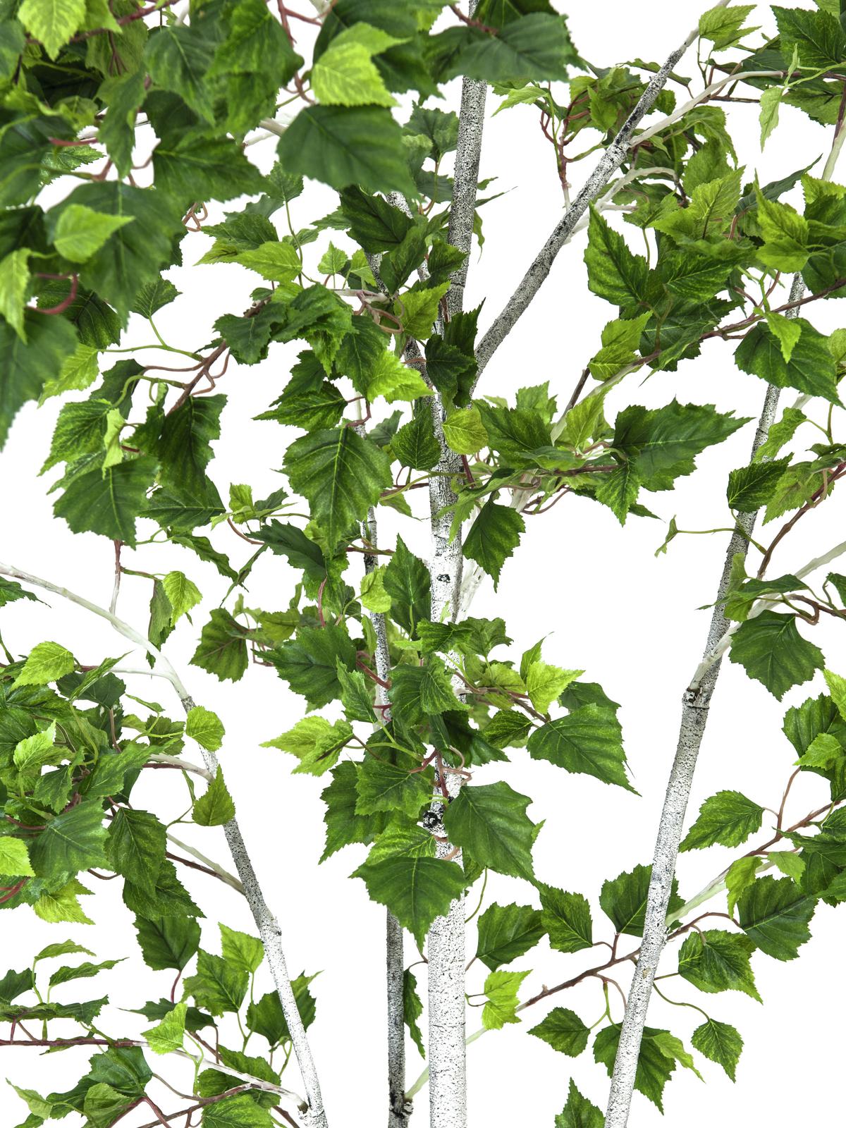 Birch Tree, artificial plant, 210cm