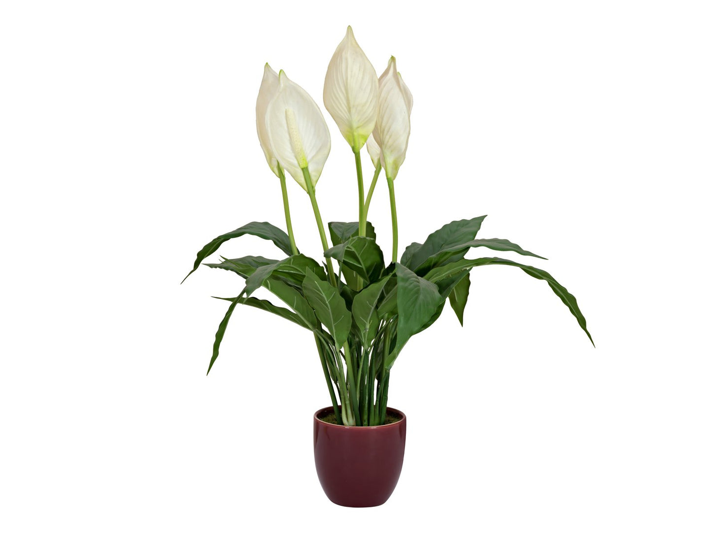 Peace Lily, artificial plant, 49cm