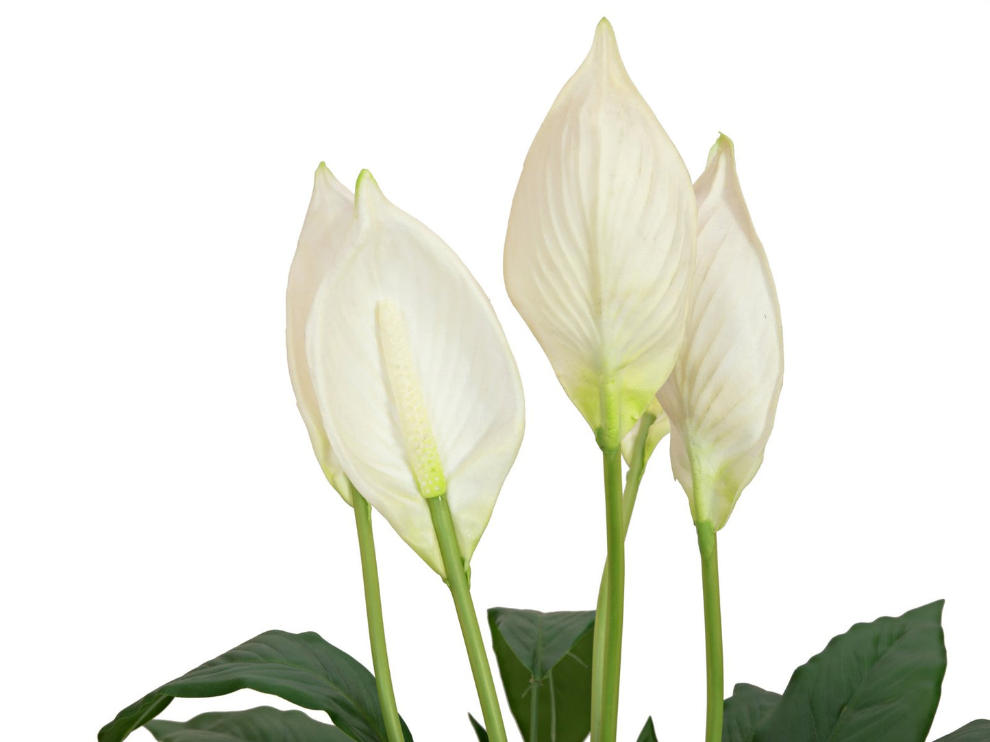 Peace Lily, artificial plant, 49cm