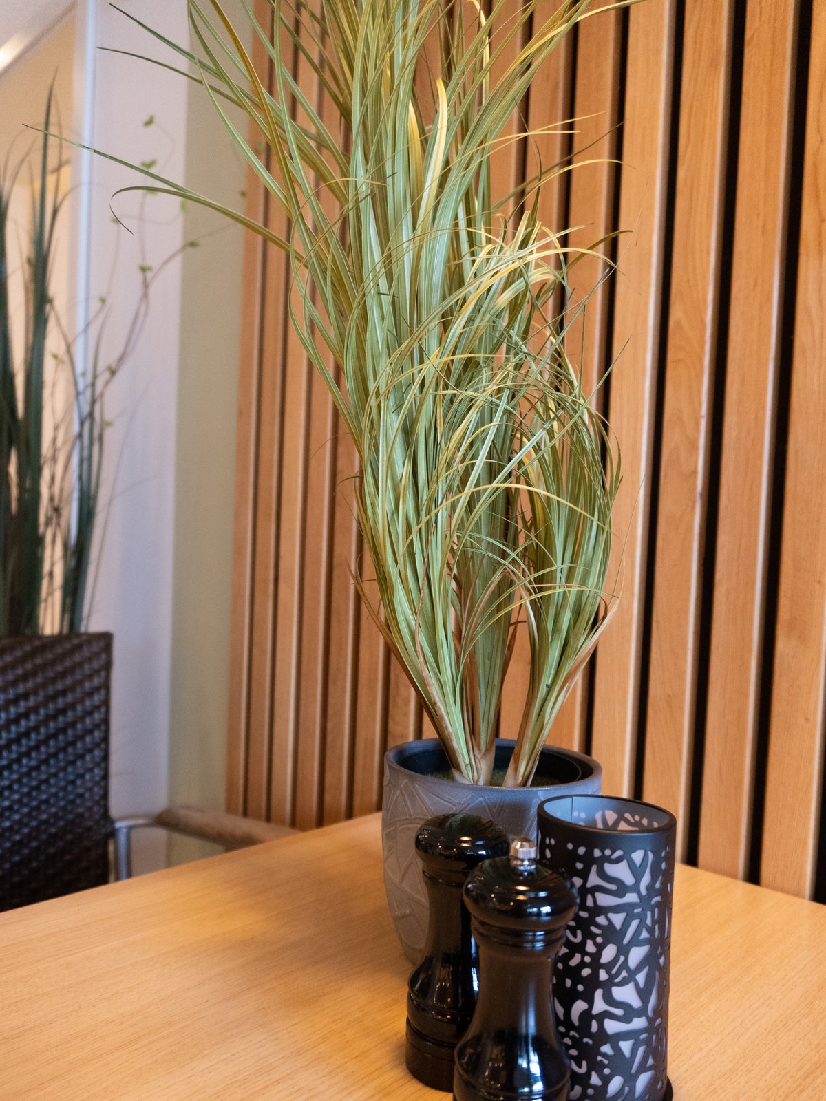 Ornamental Grass Dracema, with black Pot, artificial, 80cm