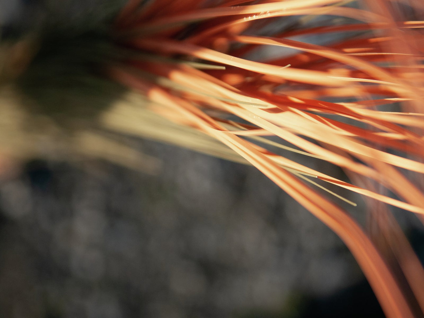 Reed grass, light brown, artificial, 127cm