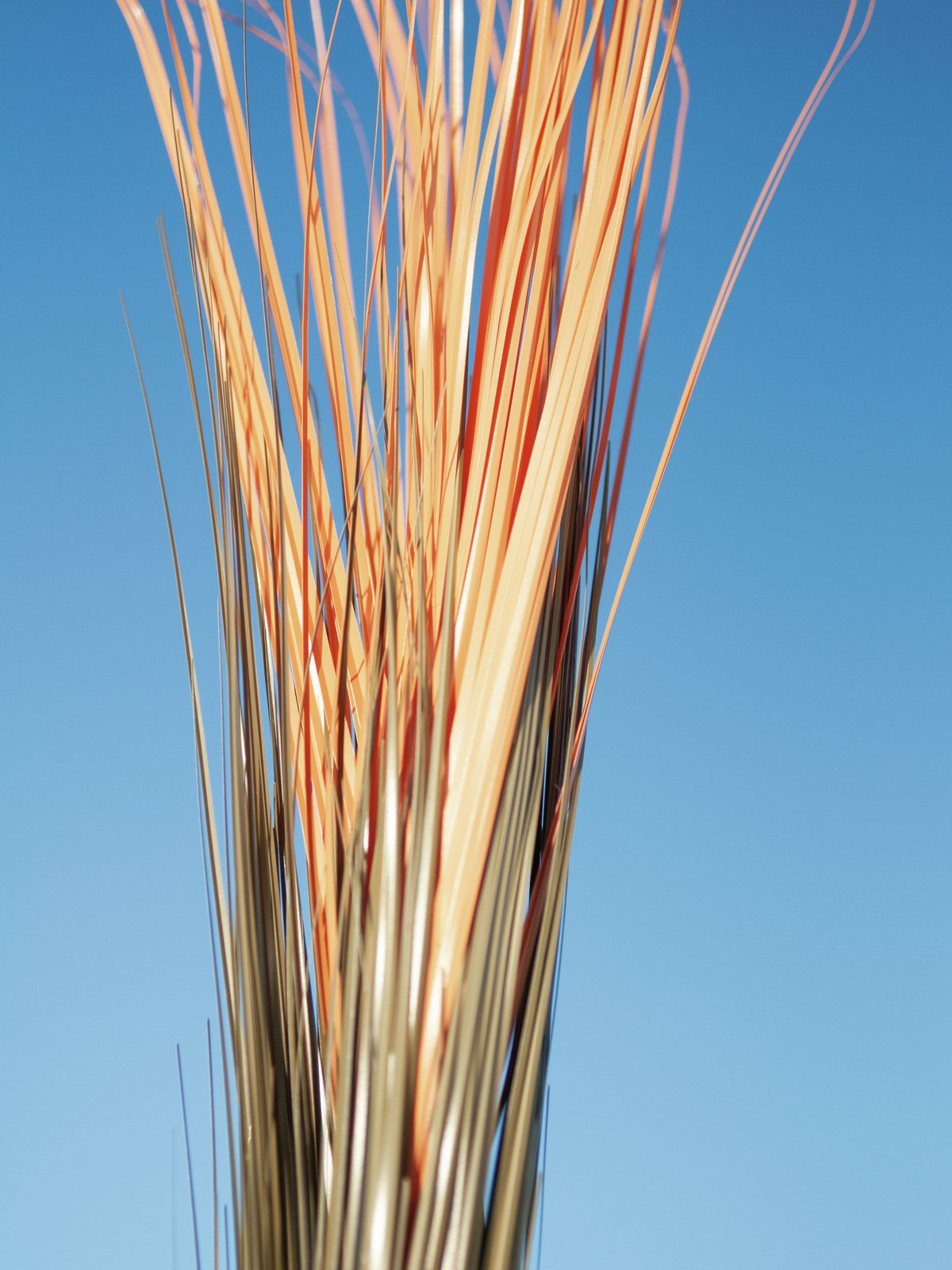 Reed grass, light brown, artificial, 127cm