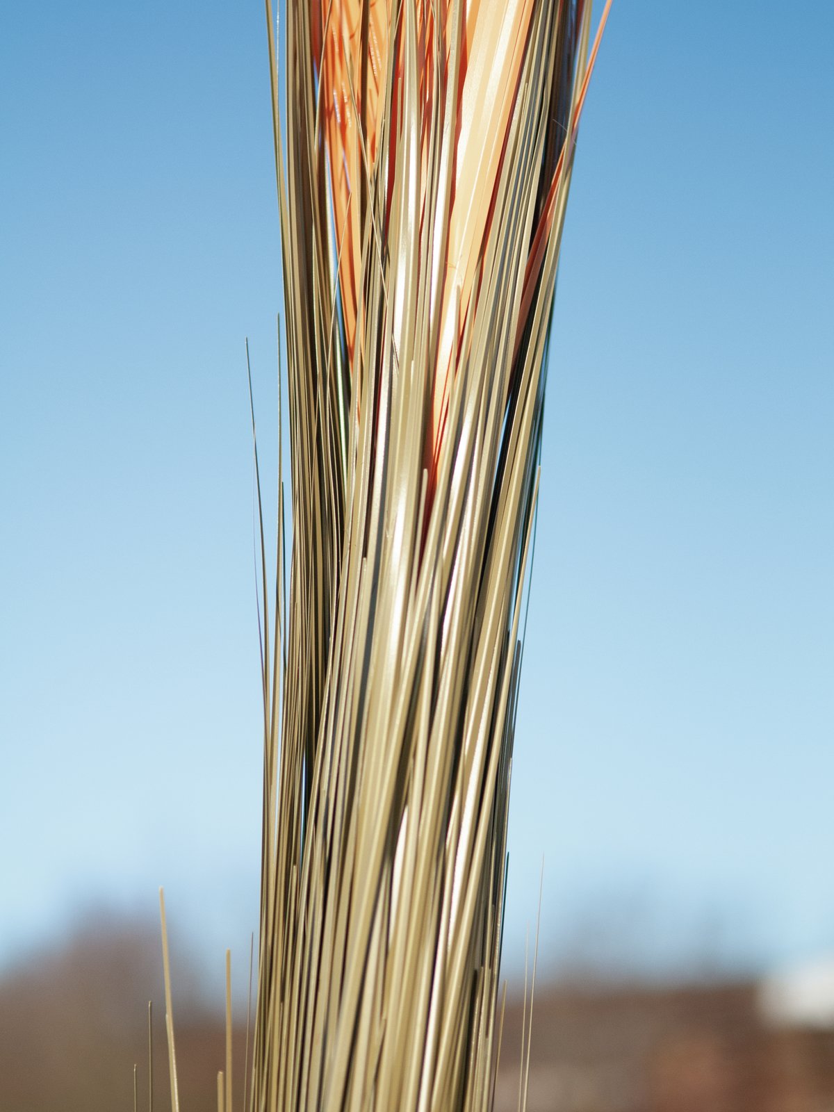 Reed grass, light brown, artificial, 127cm