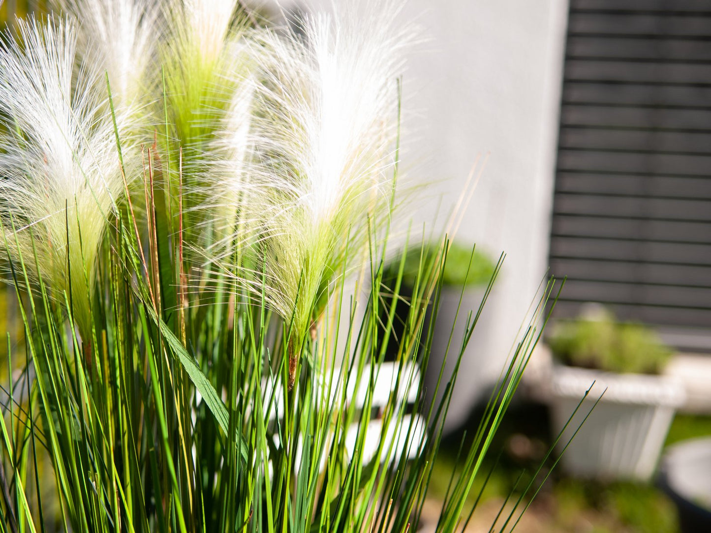 Feather grass, artificial, white, 60cm