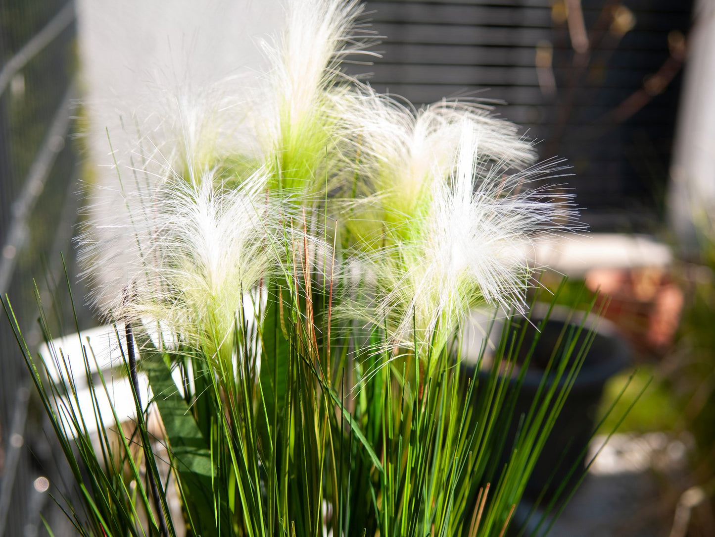 Feather grass, artificial, white, 60cm