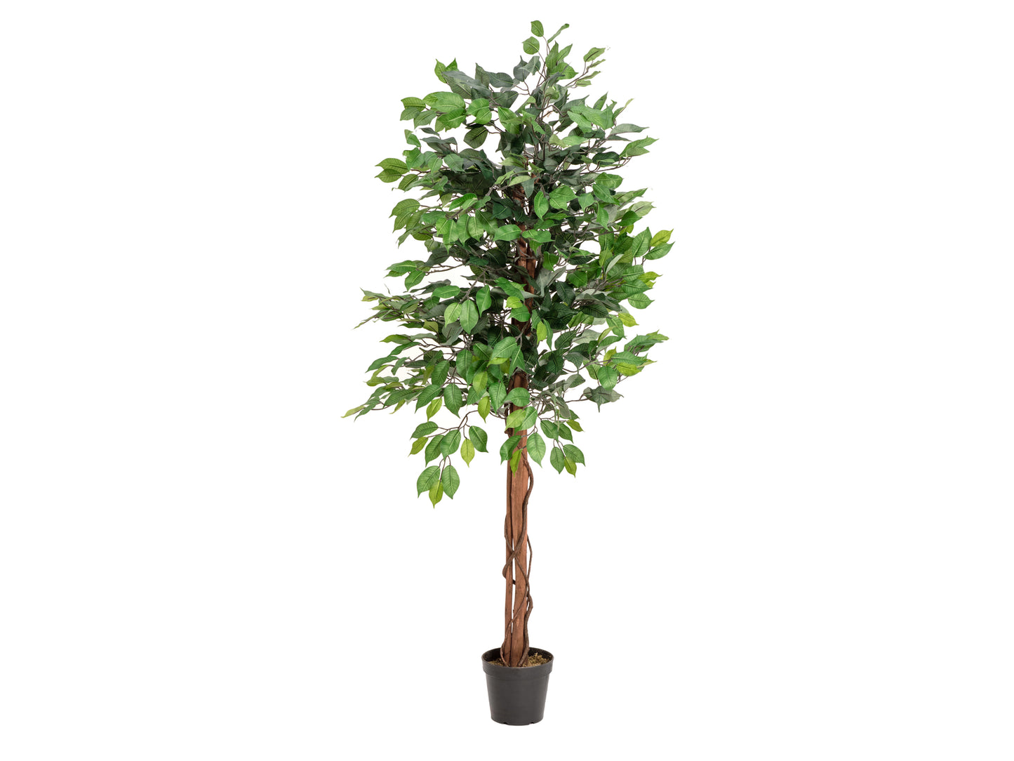 Ficus Tree Multi Trunk, artificial plant, 150cm