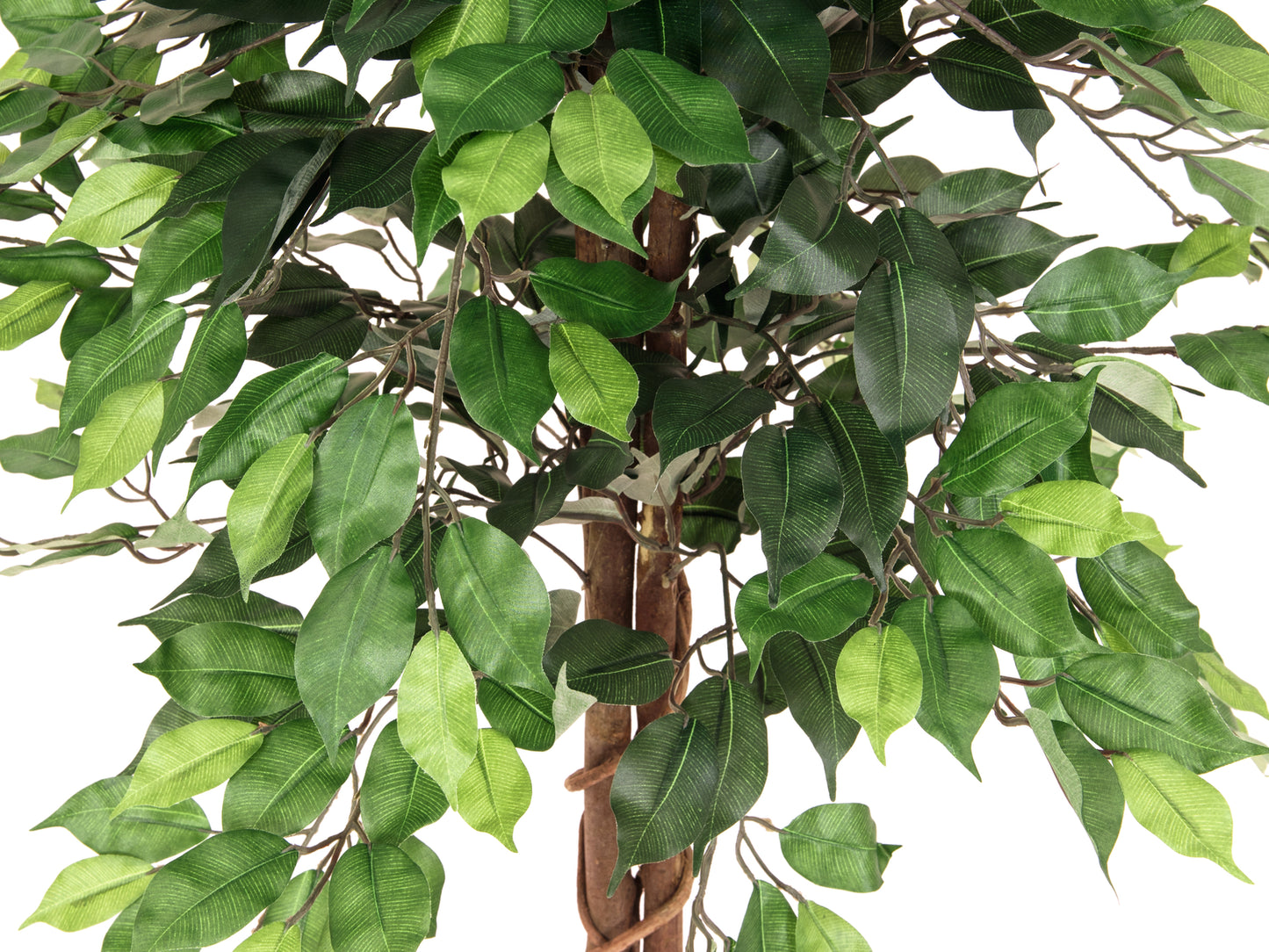 Ficus Tree Multi Trunk, artificial plant, 150cm