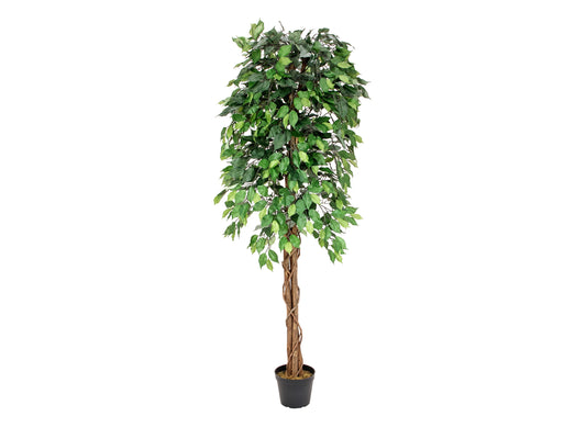 Ficus Tree Multi-Trunk, artificial plant, 180cm