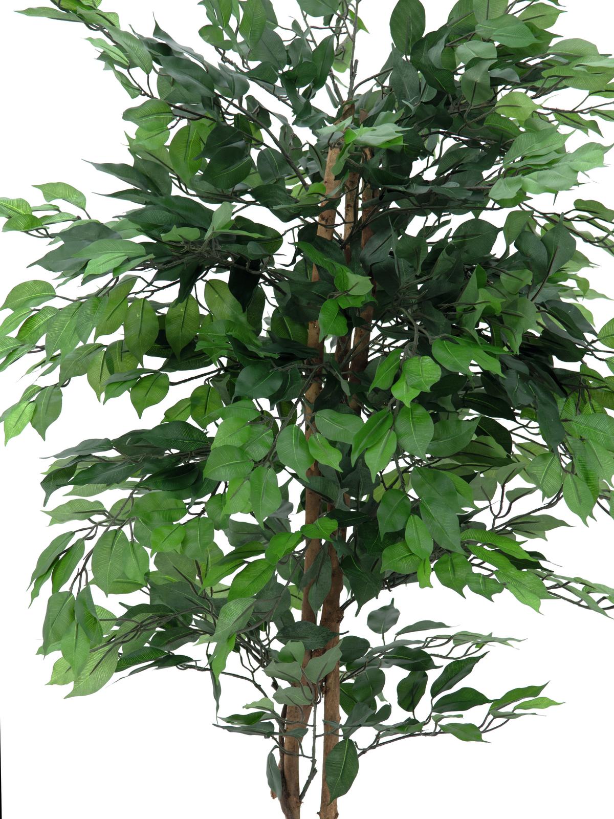 Ficus Tree Multi-Trunk, artificial plant, 210cm