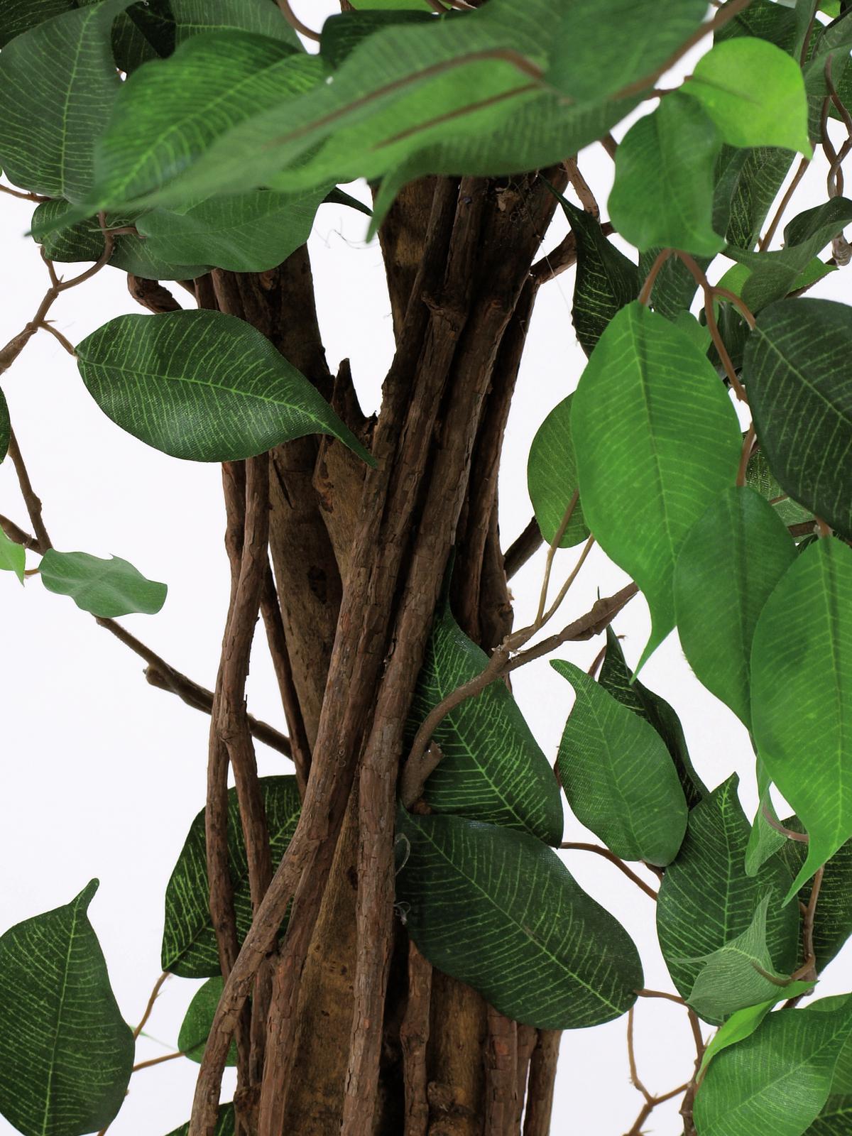 Ficus Tree Multi-Trunk, artificial plant, 210cm