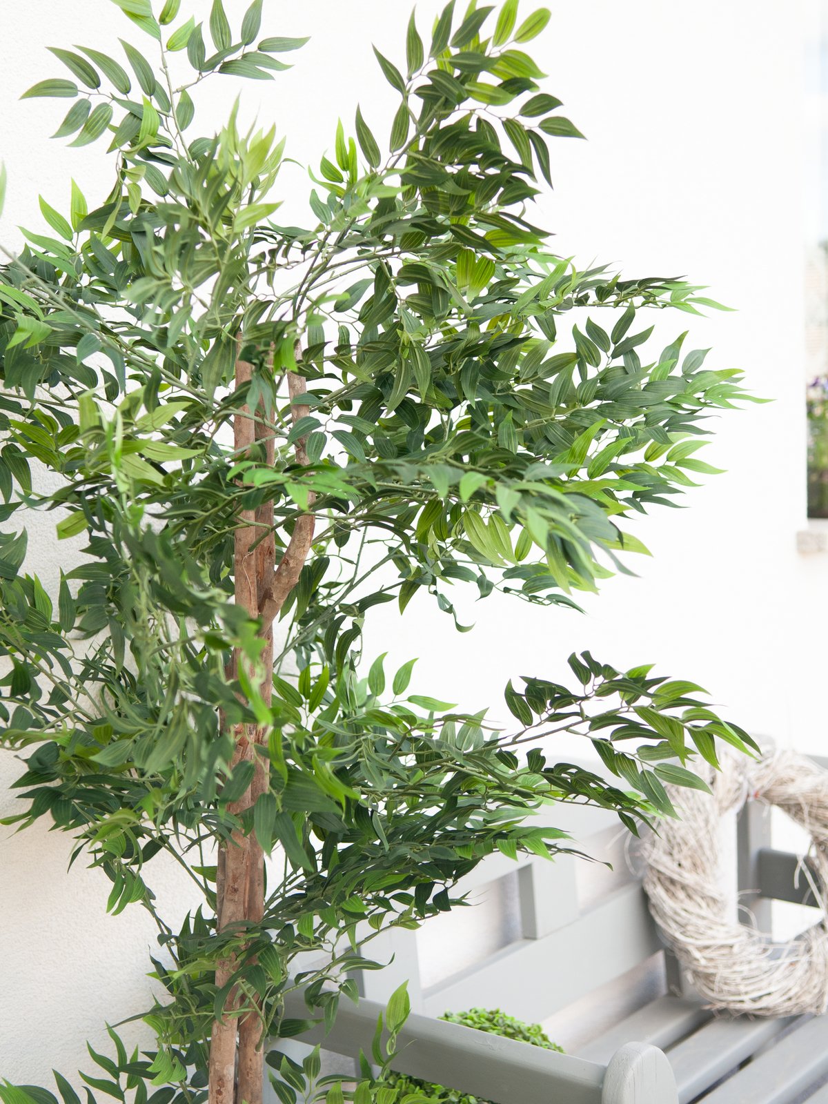 Ficus longifolia, artificial plant, 165cm