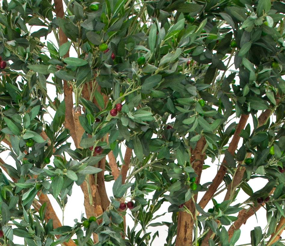 Giant Olive tree, artificial plant, 250cm