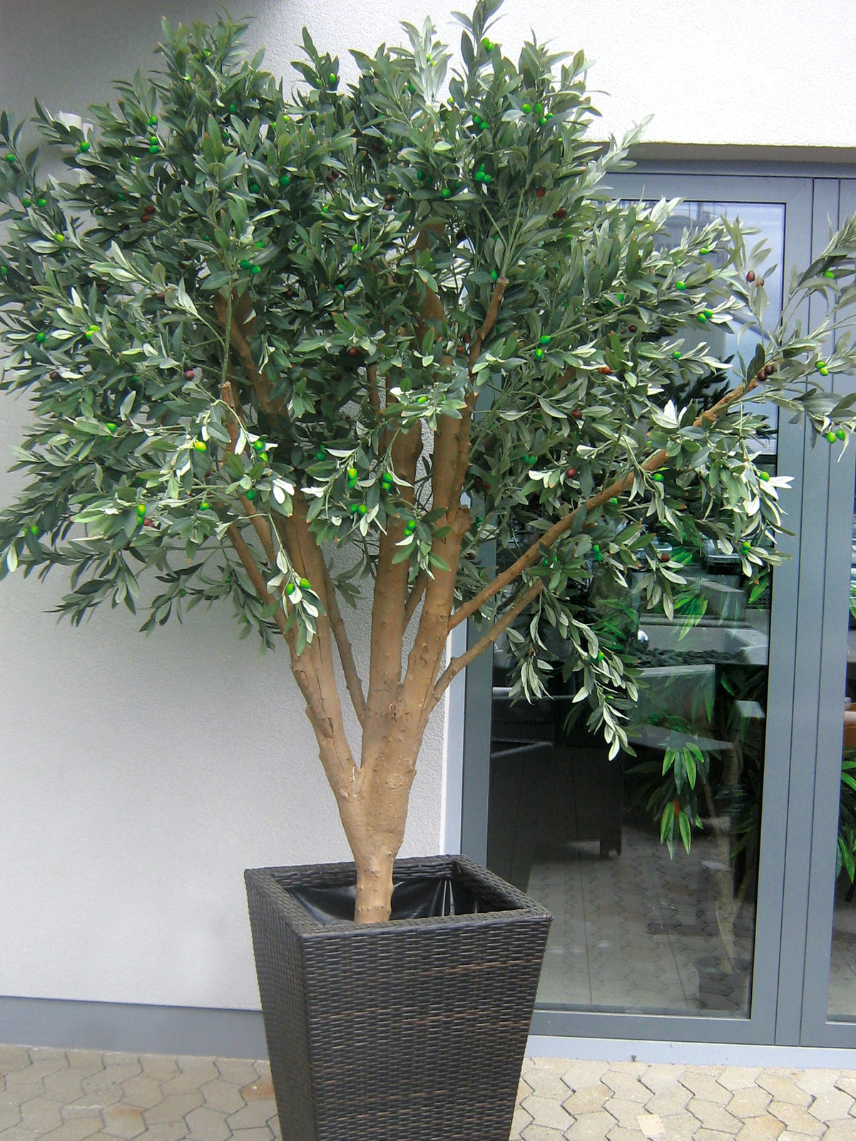 Giant Olive tree, artificial plant, 250cm