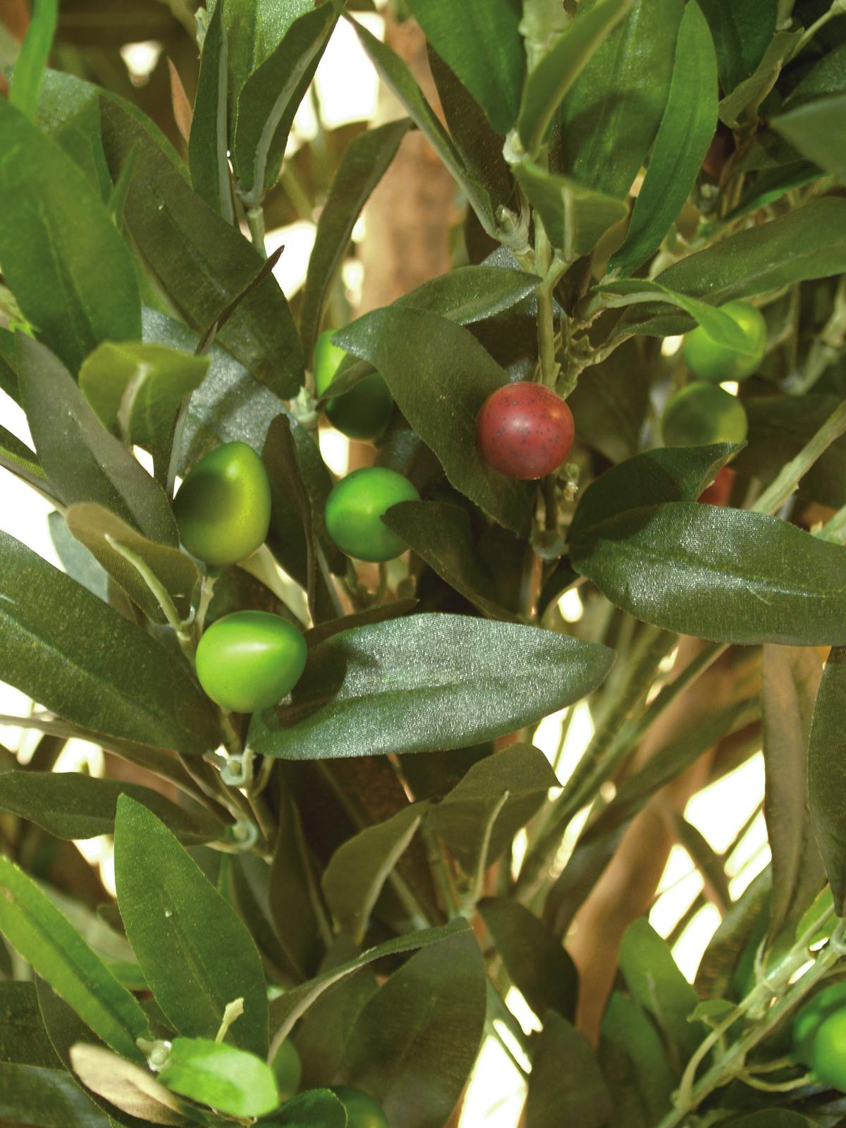 Olive Tree with fruits, 2 trunks, artificial, 250cm