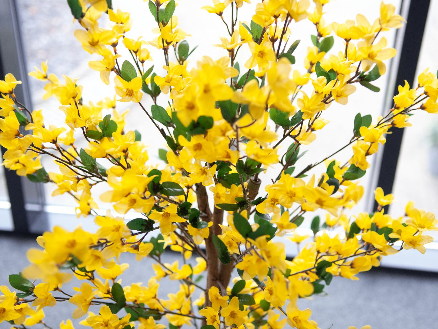 Forsythia tree with 3 trunks, artificial plant, yellow, 150cm