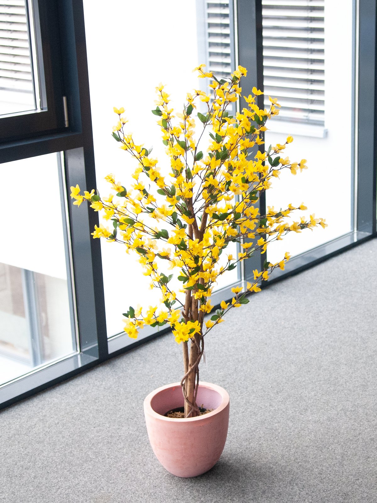 Forsythia tree with 3 trunks, artificial plant, yellow, 150cm