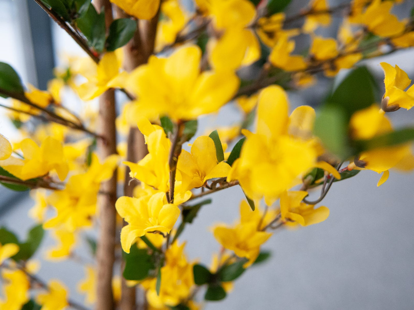 Forsythia tree with 3 trunks, artificial plant, yellow, 150cm