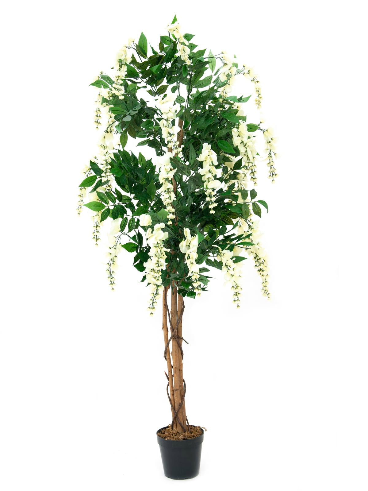 Wisteria, artificial plant, white, 150cm