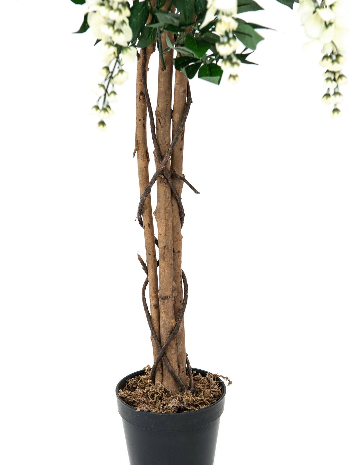 Wisteria, artificial plant, white, 150cm