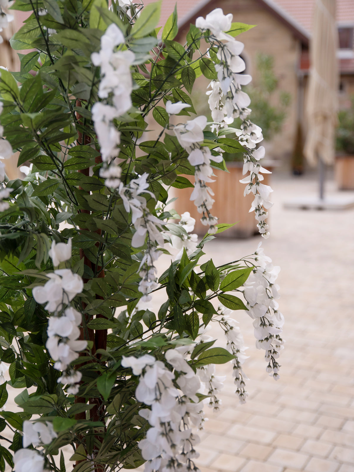 Wisteria, artificial plant, white, 180cm