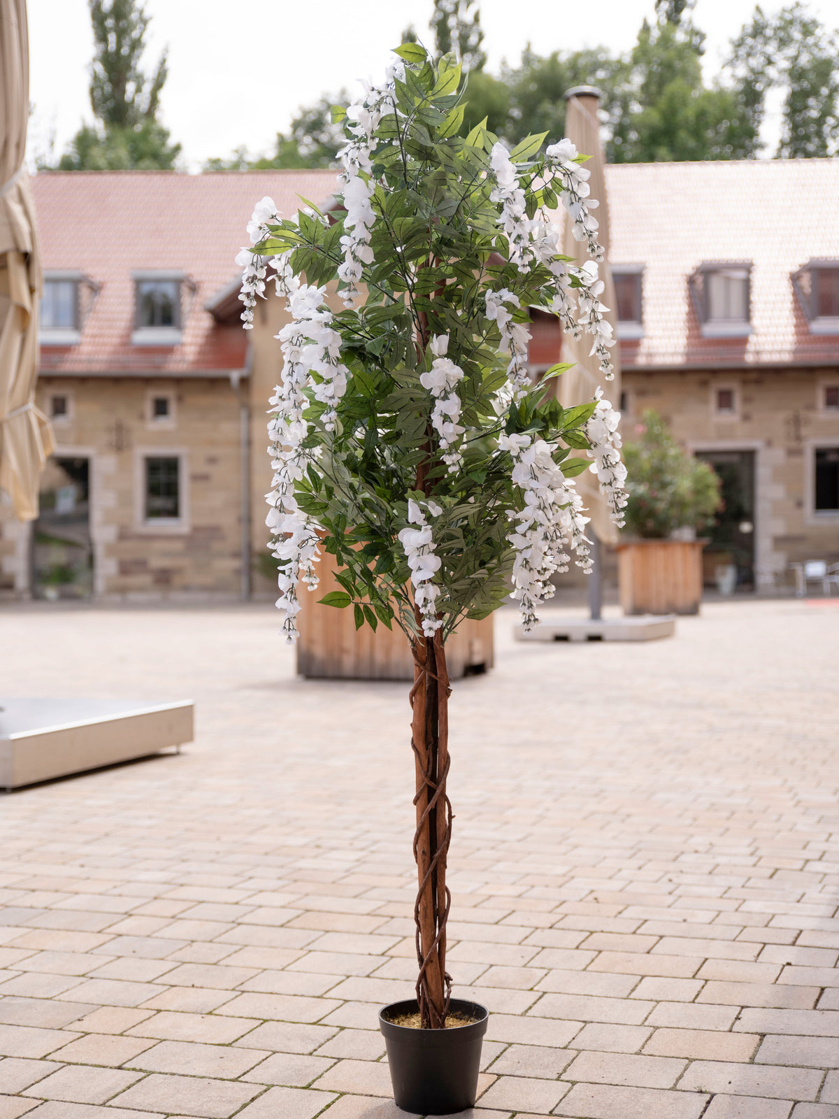 Wisteria, artificial plant, white, 180cm