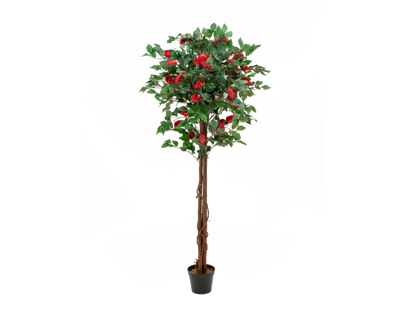 Camelia red cemented, artificial plant, 180cm