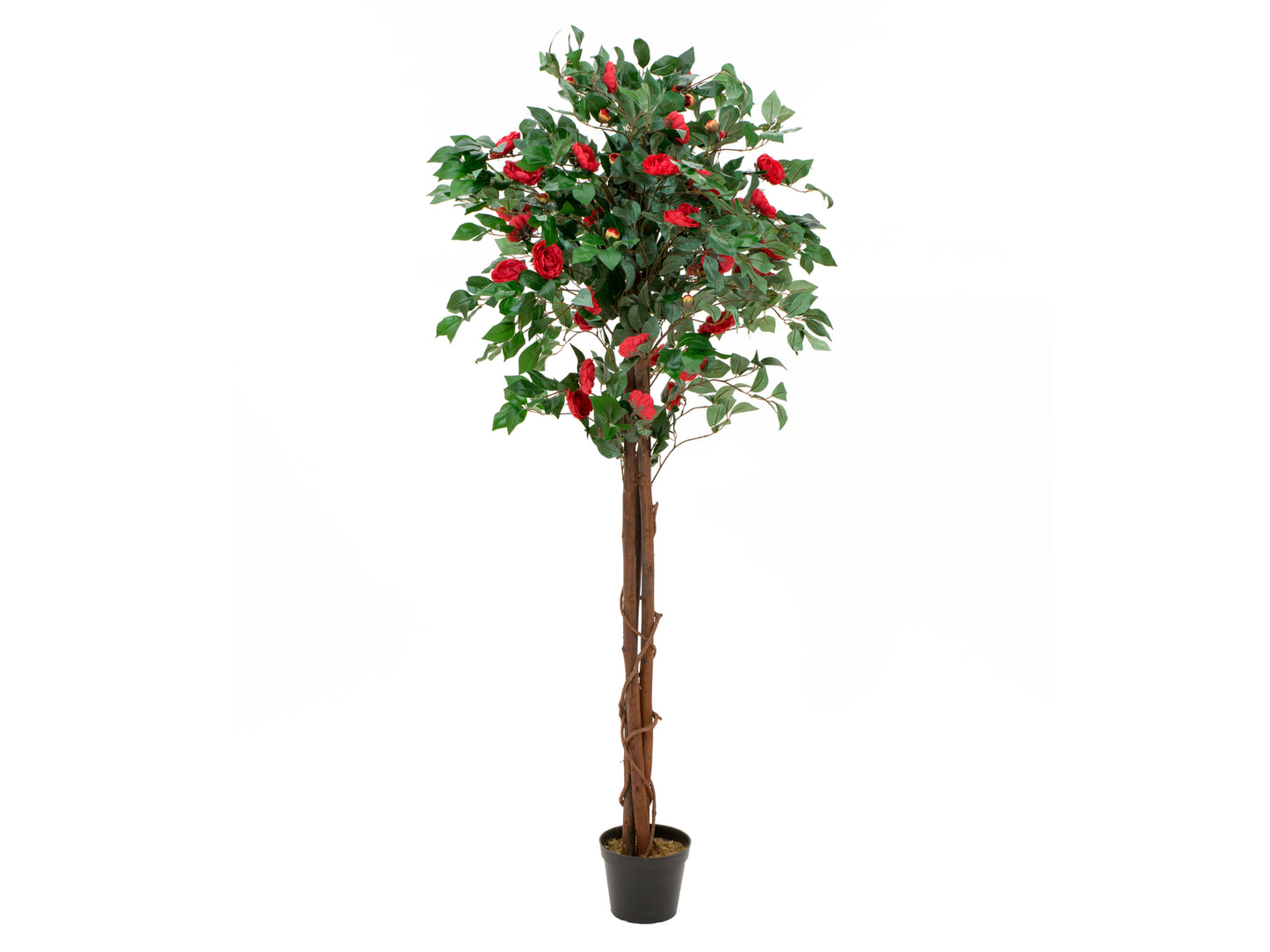 Camelia red cemented, artificial plant, 180cm