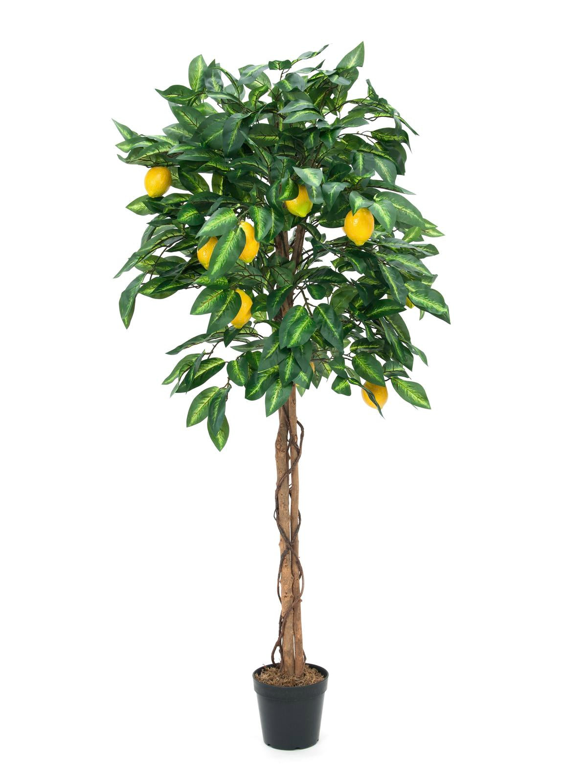 Lemon Tree, artificial plant, 180cm