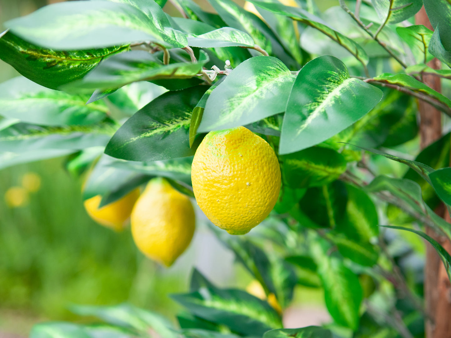 Lemon Tree, artificial plant, 180cm