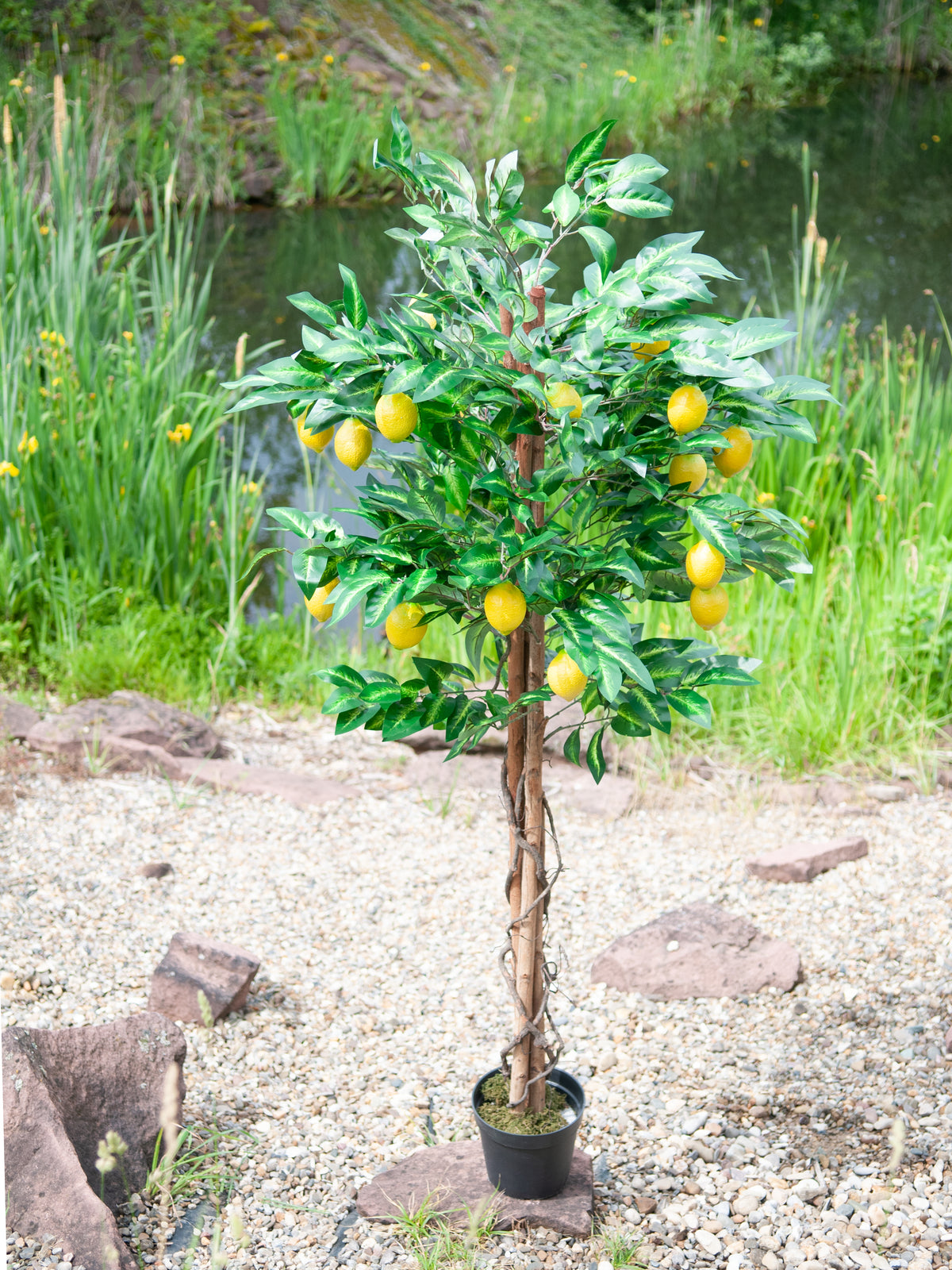 Lemon Tree, artificial plant, 180cm