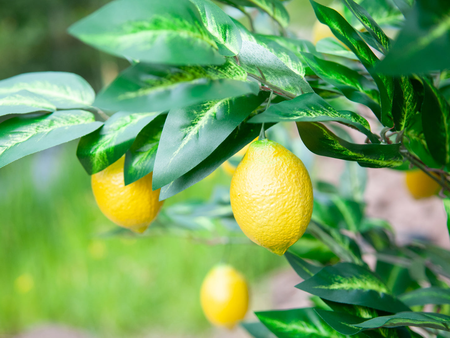 Lemon Tree, artificial plant, 180cm