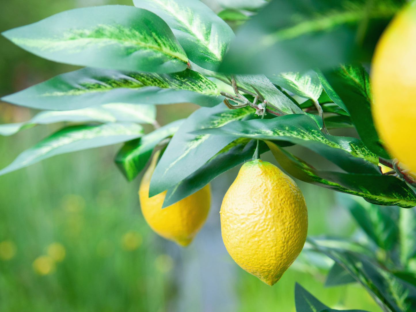 Lemon Tree, artificial plant, 180cm