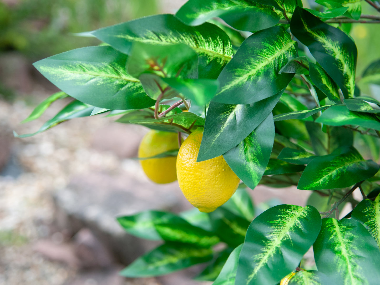 Lemon Tree, artificial plant, 180cm