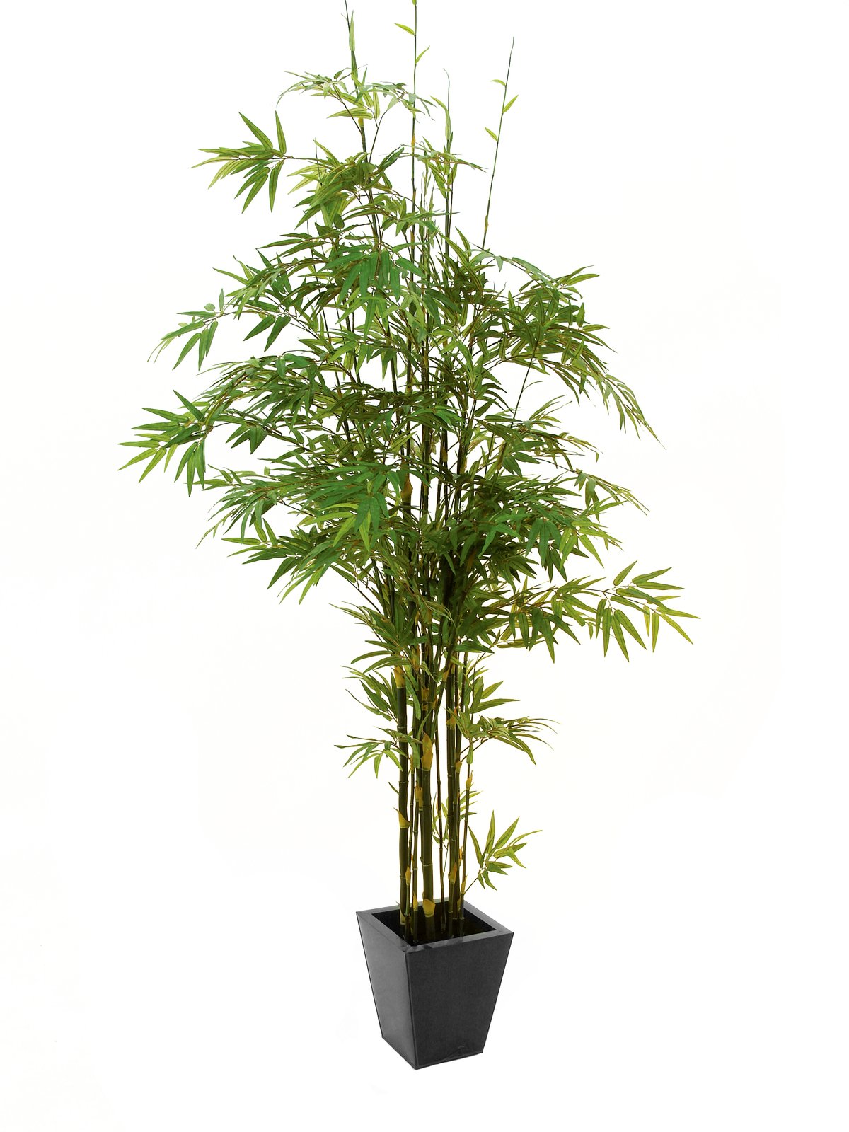 Bamboo black trunk, artificial plant, 240cm