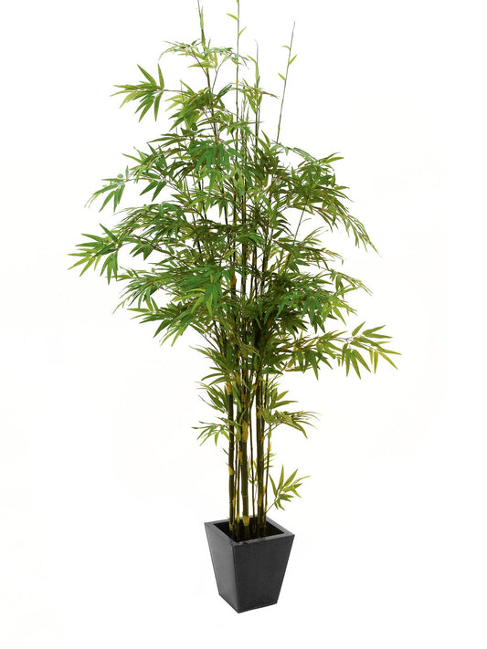 Bamboo black trunk, artificial plant, 240cm