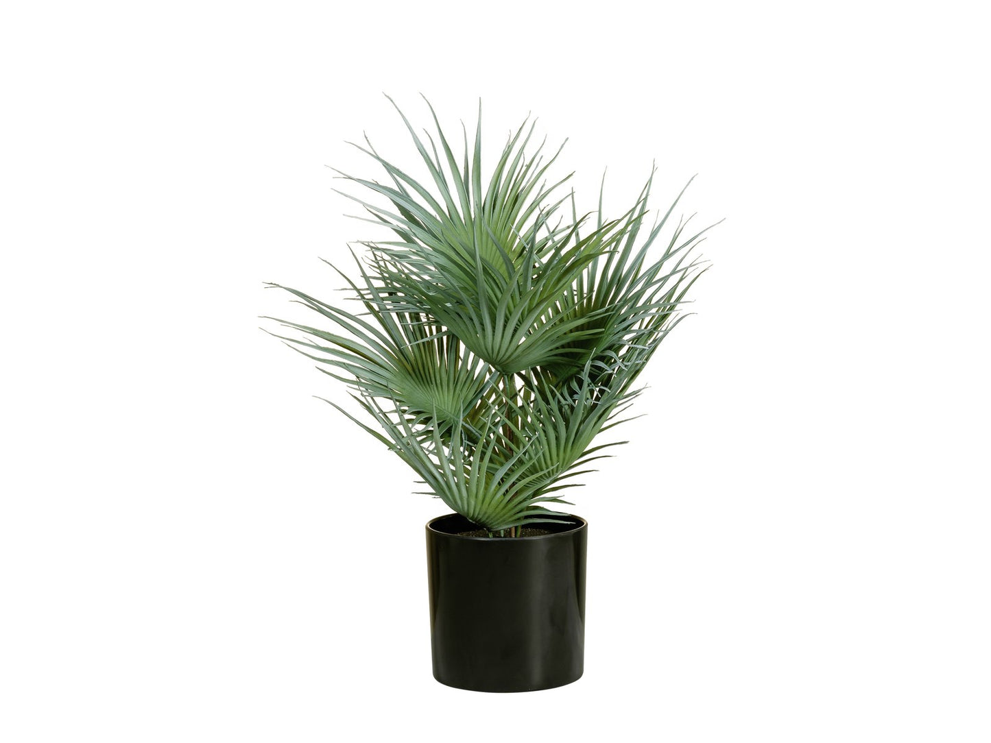 Fan palm, artificial plant, 55cm