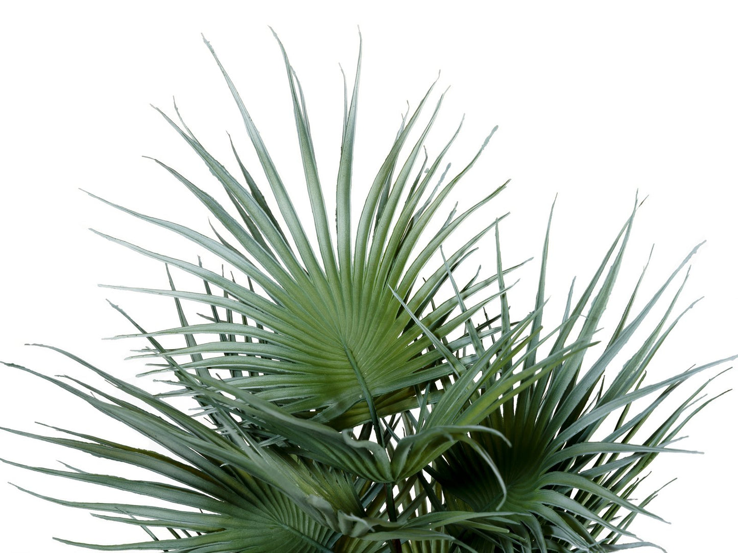 Fan palm, artificial plant, 55cm