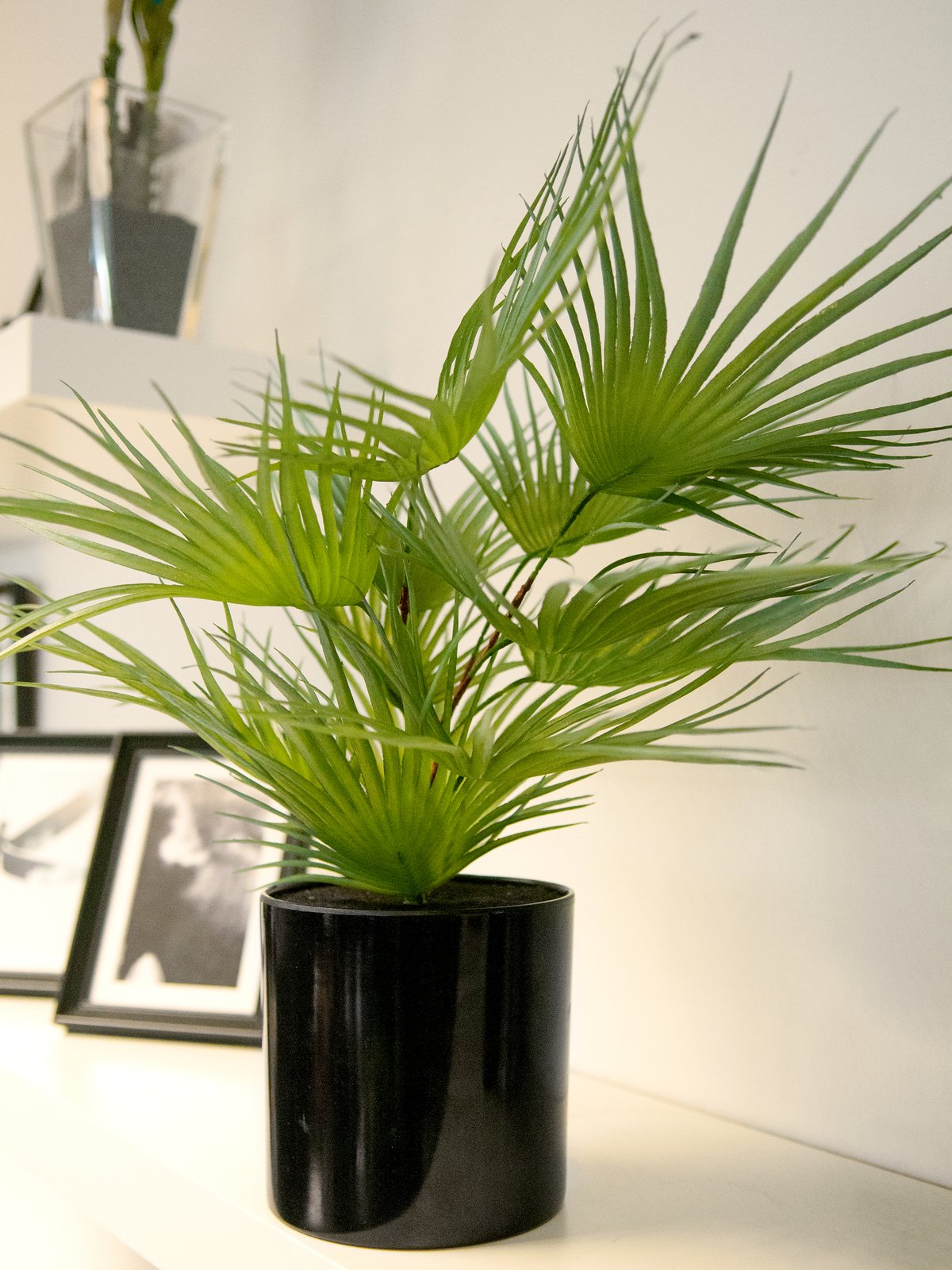 Fan palm, artificial plant, 55cm