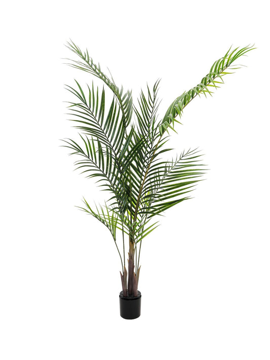 Areca palm with big leaves, artificial plant, 165cm