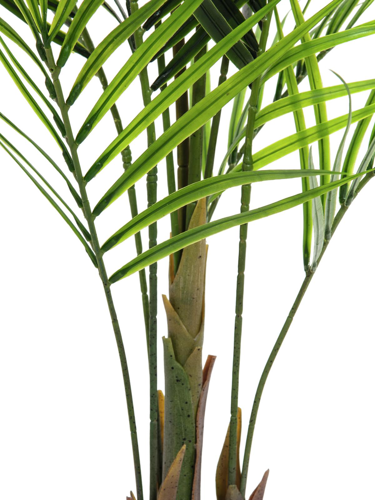 Areca palm with big leaves, artificial plant, 165cm