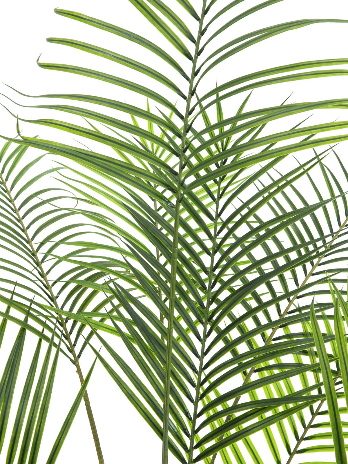 Areca palm with big leaves, artificial plant, 185cm